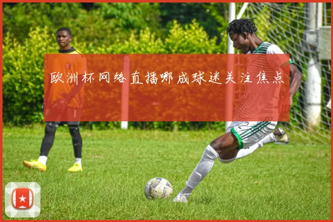 欧洲杯网络直播哪成球迷关注焦点