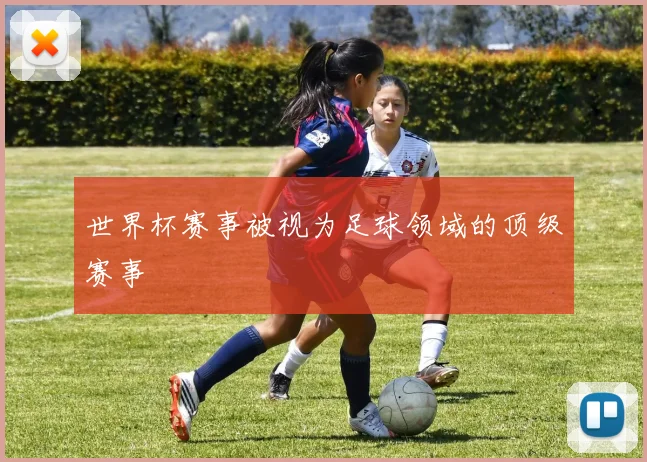 世界杯赛事被视为足球领域的顶级赛事
