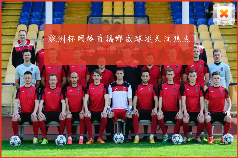 欧洲杯网络直播哪成球迷关注焦点