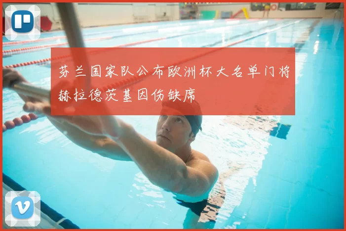 芬兰国家队公布欧洲杯大名单门将赫拉德茨基因伤缺席