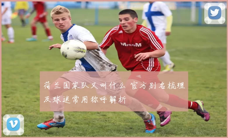 荷兰国家队又叫什么 官方别名梳理及球迷常用称呼解析