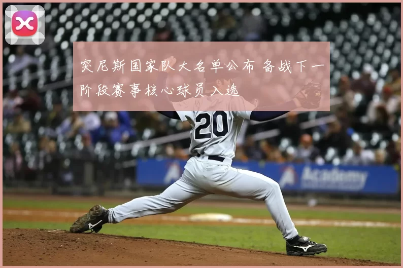 突尼斯国家队大名单公布 备战下一阶段赛事核心球员入选