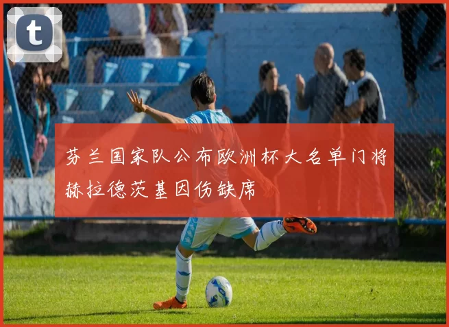 芬兰国家队公布欧洲杯大名单门将赫拉德茨基因伤缺席